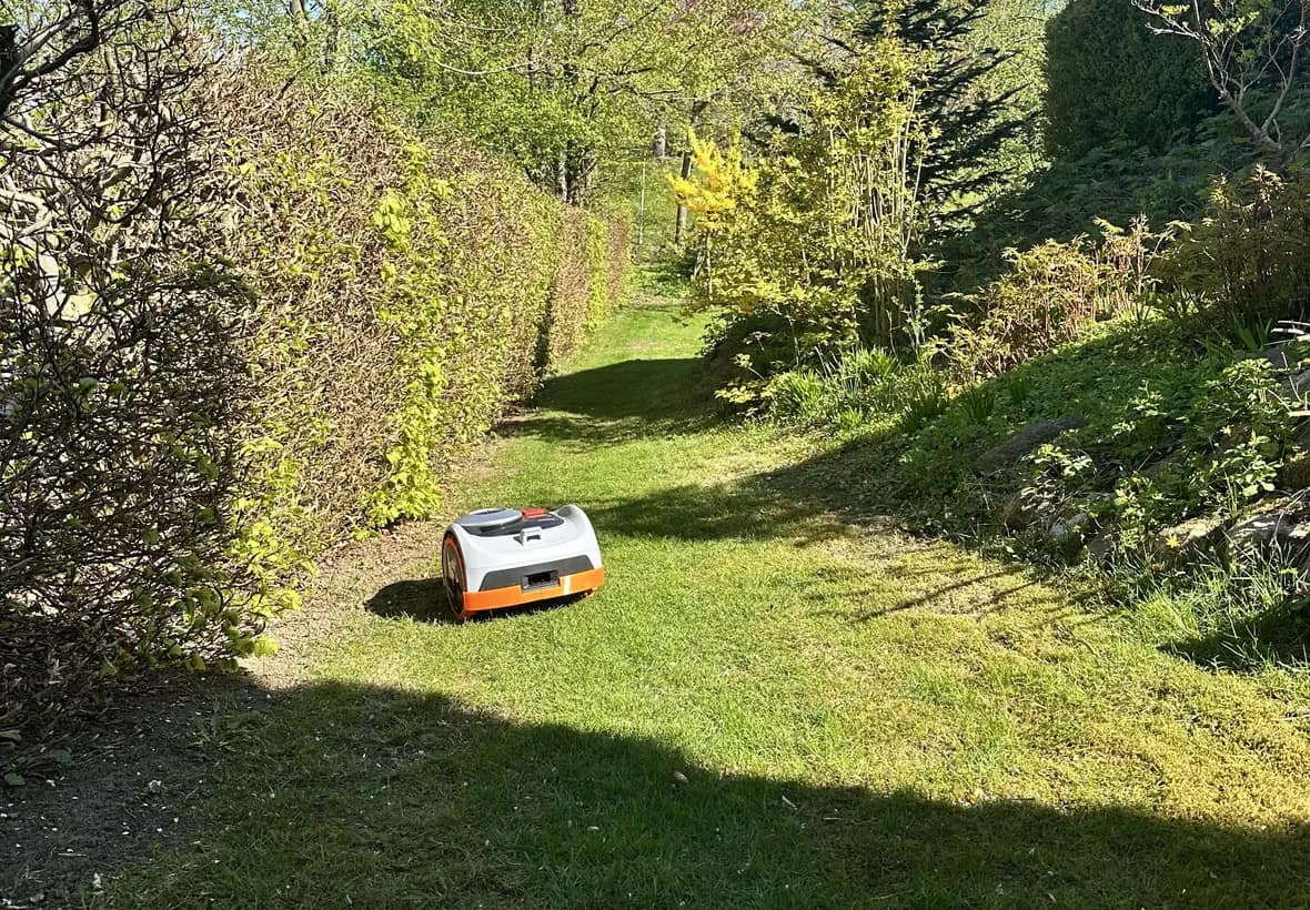 Segway Navimow robotplæneklipper testet i passage ved hæk