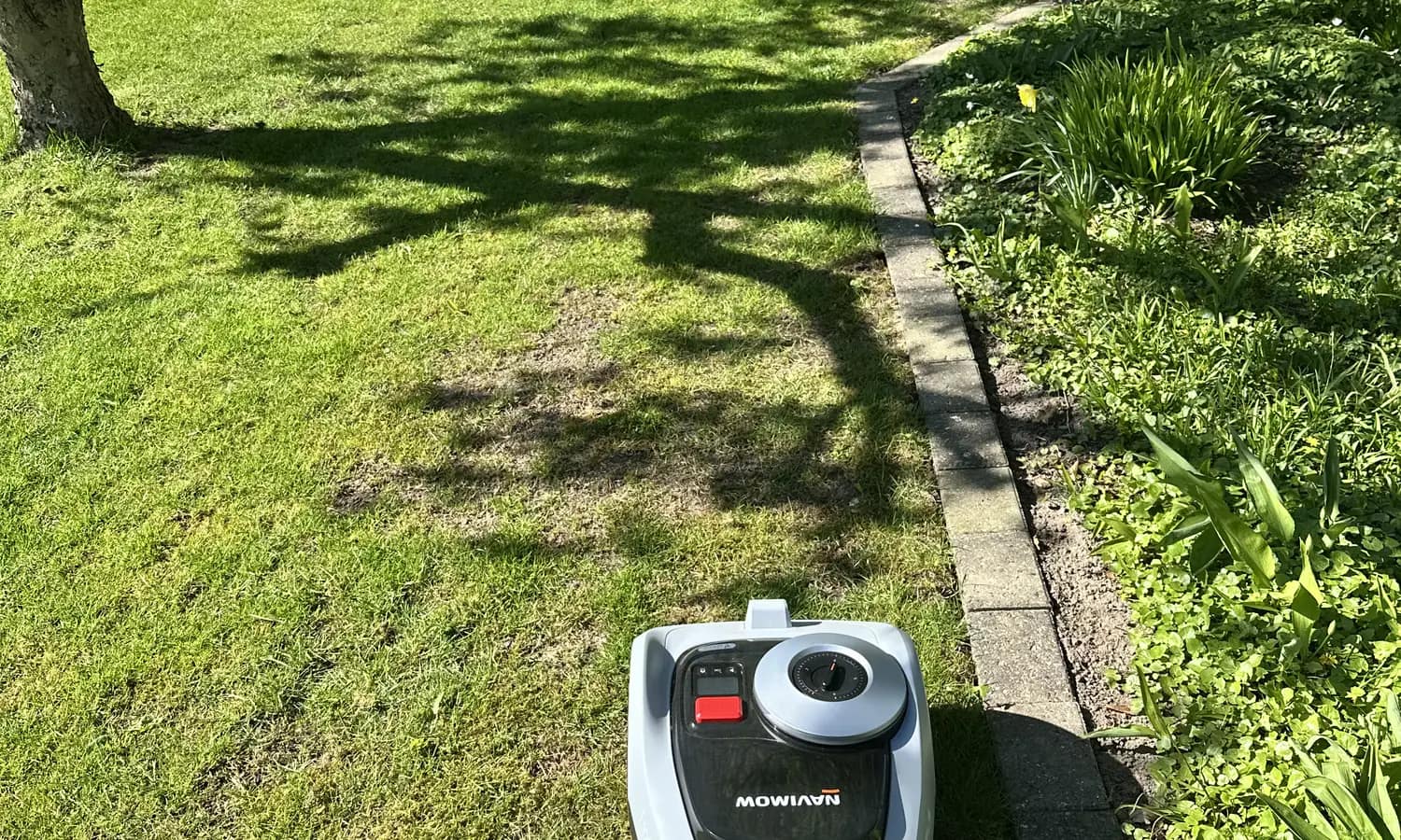 Robotplaeneklipper taet ved kant hvor den kan koere fast